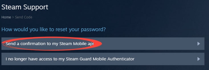 Steam - Password