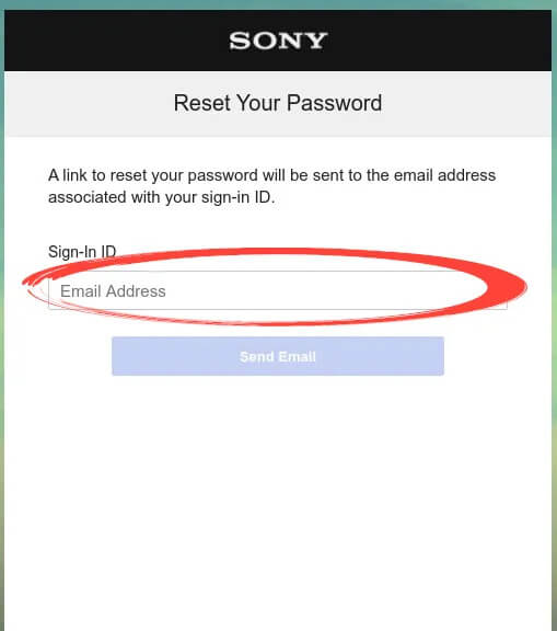 SEN - Password Recovery Final