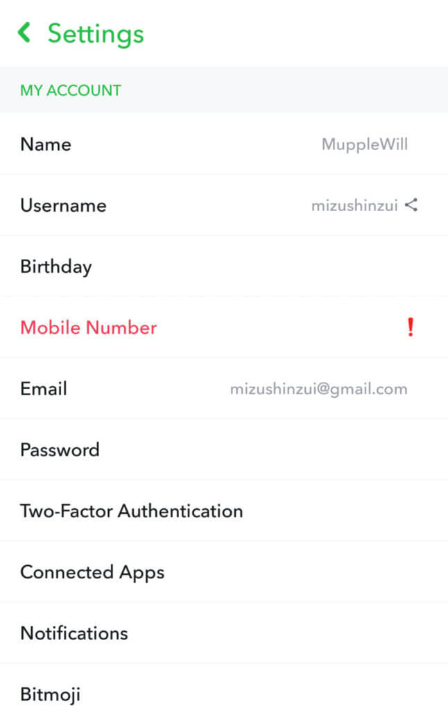 SnapChat - Account Info